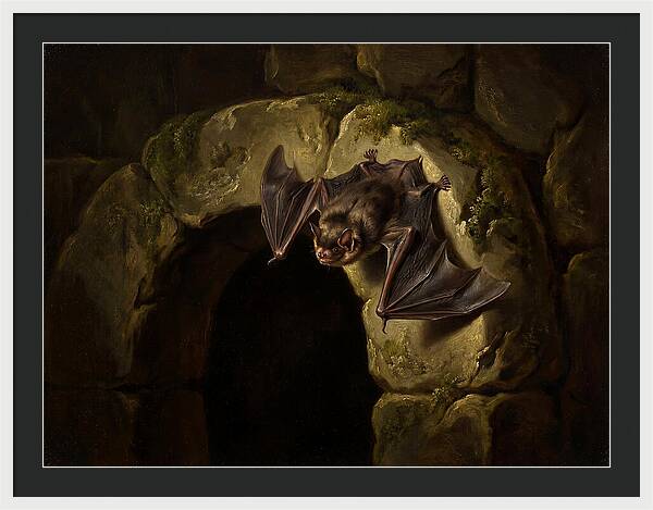 Beneath The Stone Archway