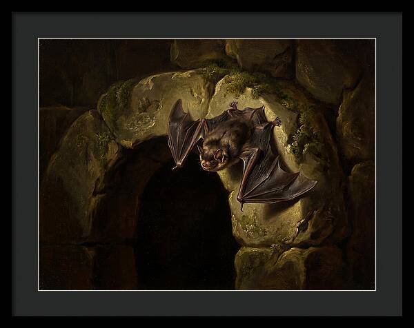 Beneath The Stone Archway