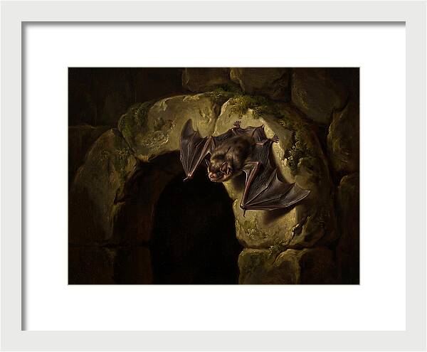 Beneath The Stone Archway