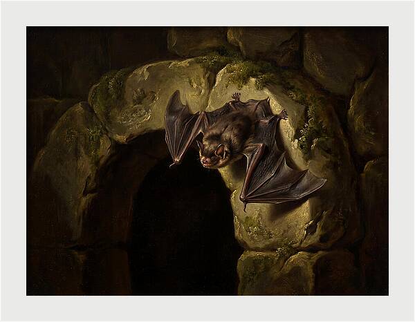 Beneath The Stone Archway