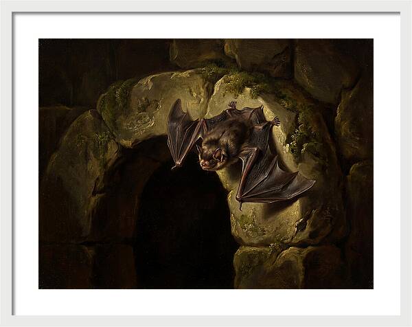 Beneath The Stone Archway