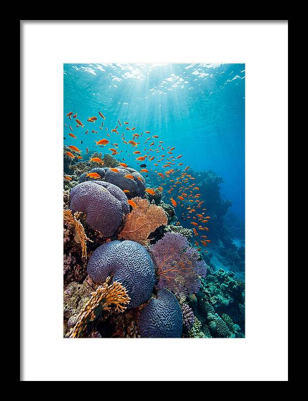 Beneath The Surface