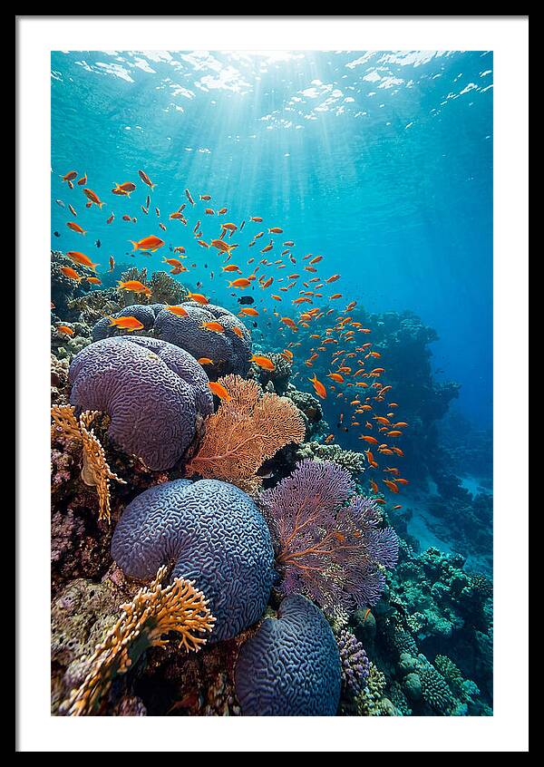 Beneath The Surface