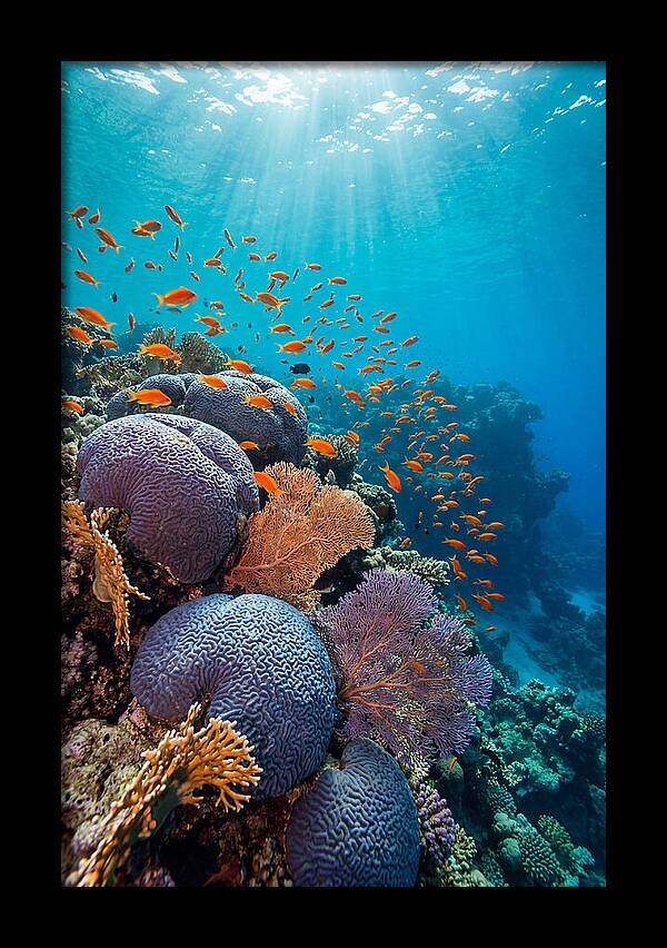 Beneath The Surface
