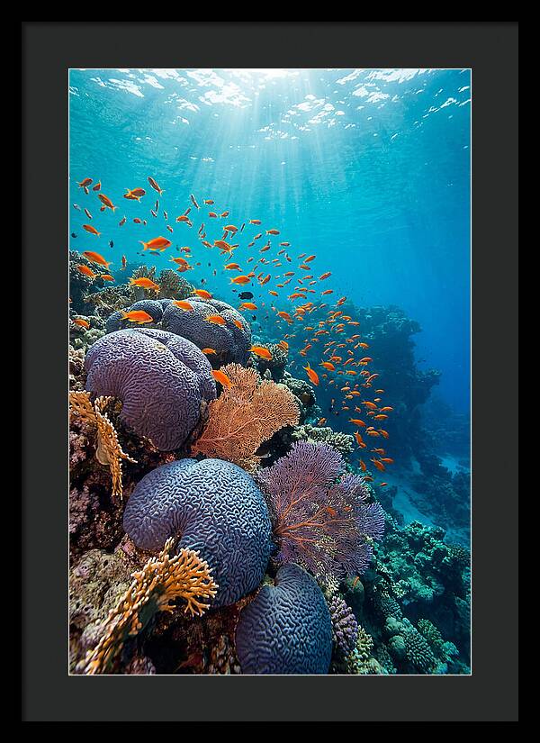 Beneath The Surface
