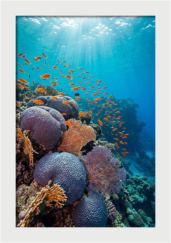 Beneath The Surface