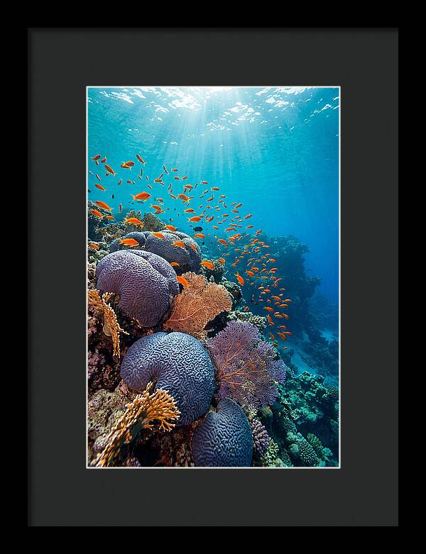 Beneath The Surface