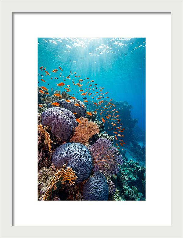 Beneath The Surface