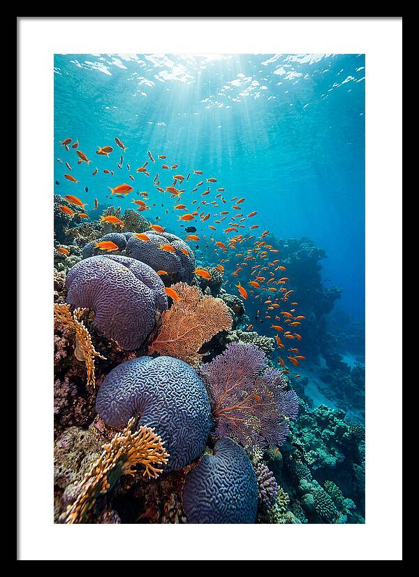 Beneath The Surface