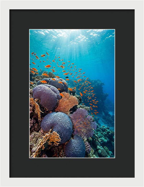 Beneath The Surface