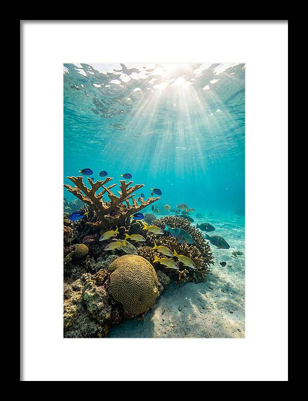 Beneath The Waves