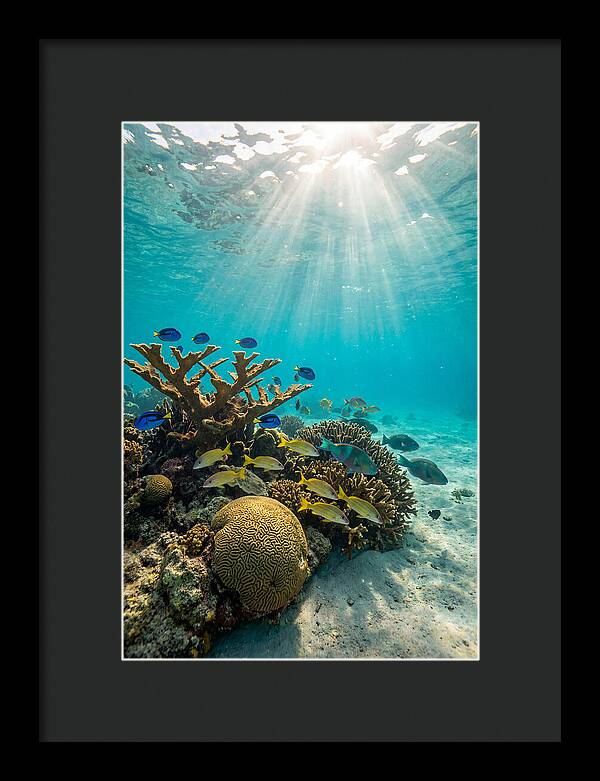 Beneath The Waves