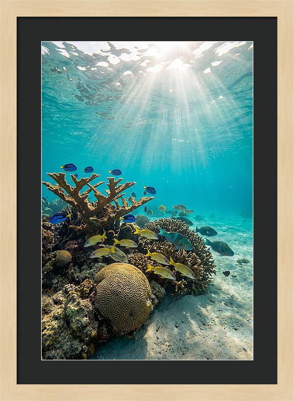 Beneath The Waves