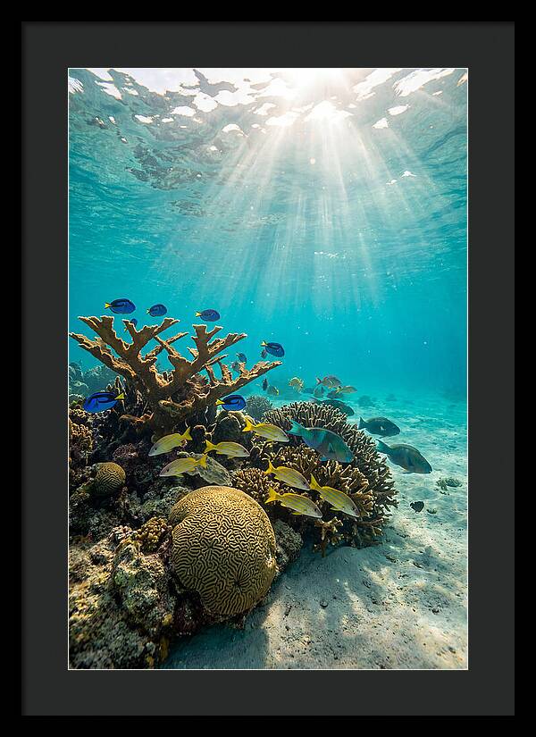 Beneath The Waves