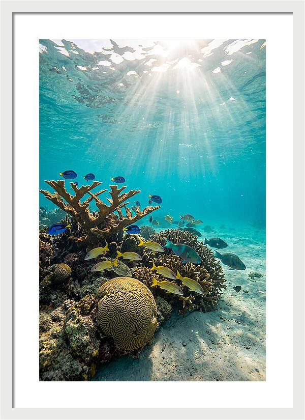 Beneath The Waves