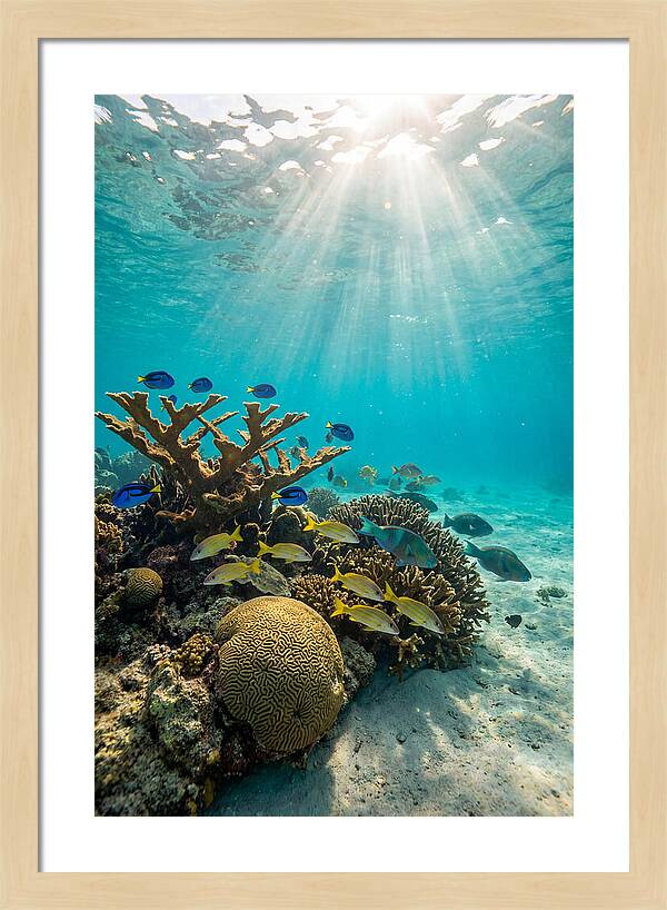 Beneath The Waves