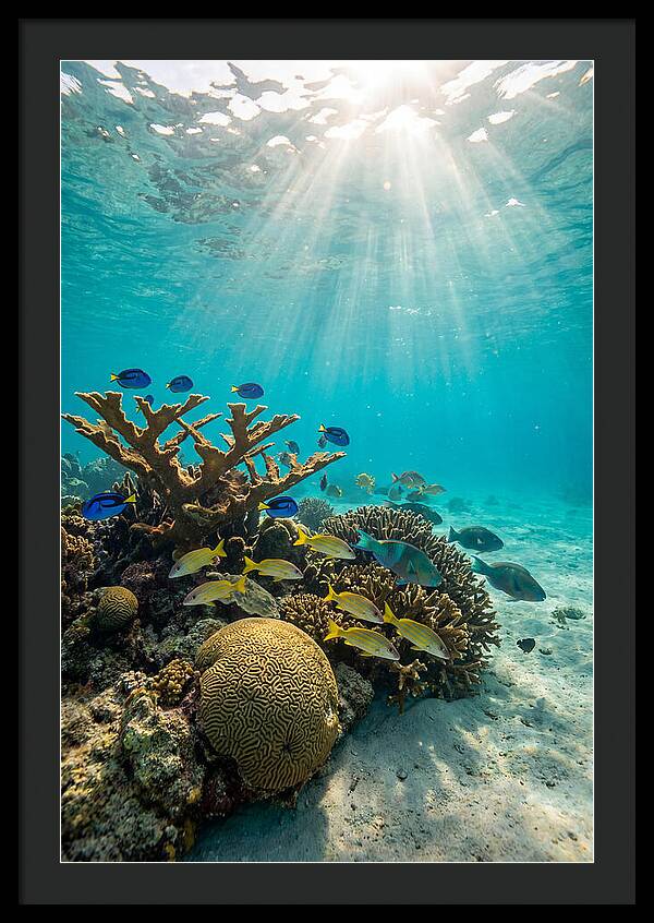 Beneath The Waves