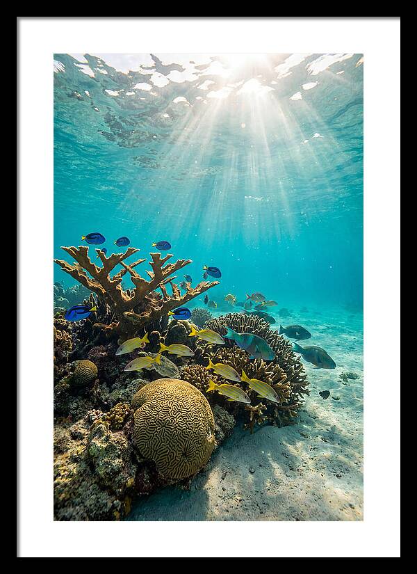 Beneath The Waves