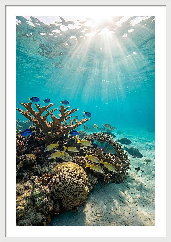 Beneath The Waves