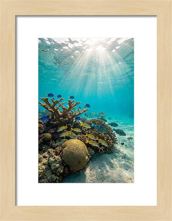 Beneath The Waves