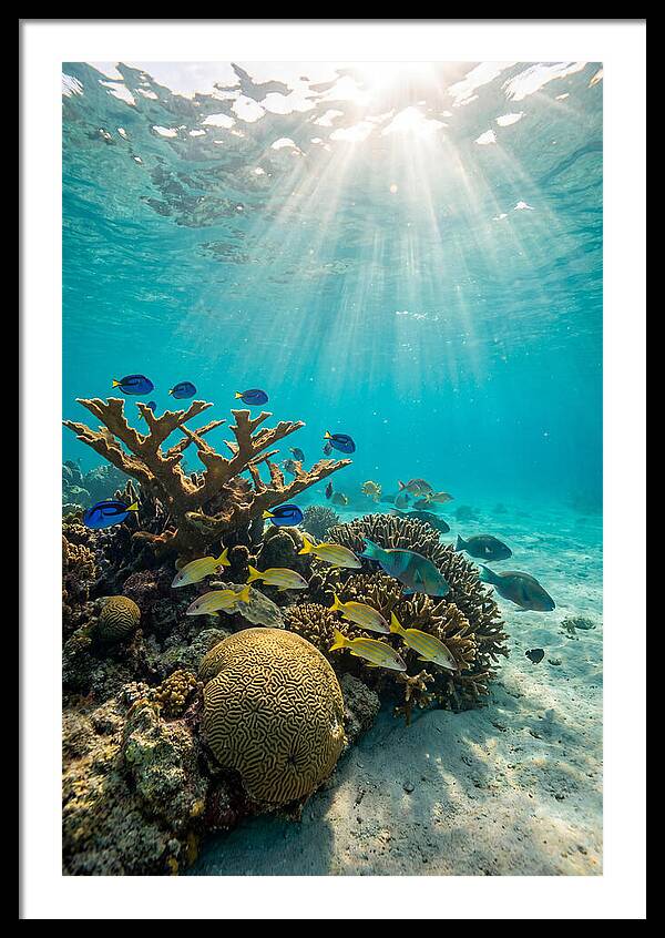 Beneath The Waves