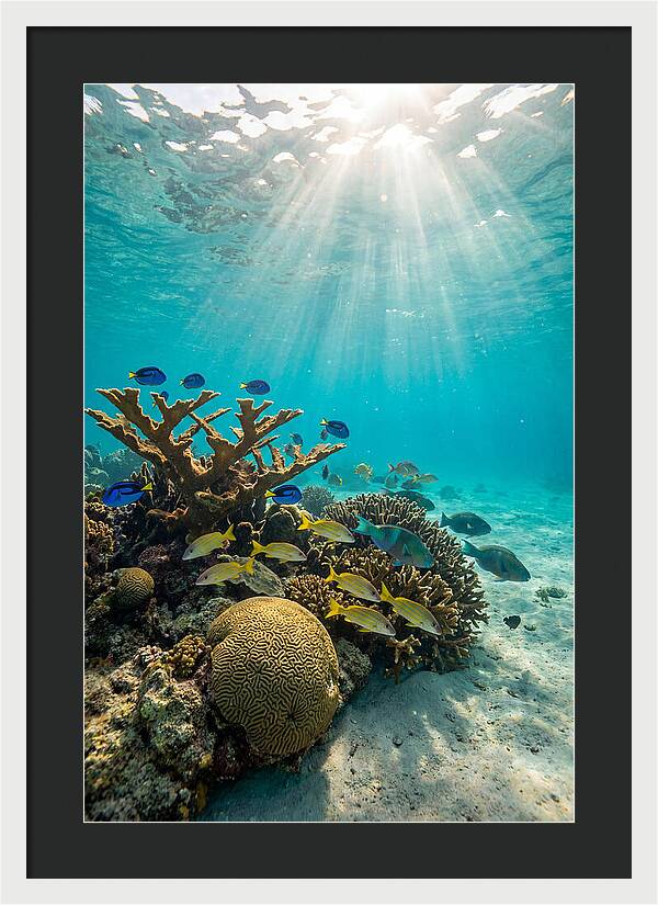 Beneath The Waves