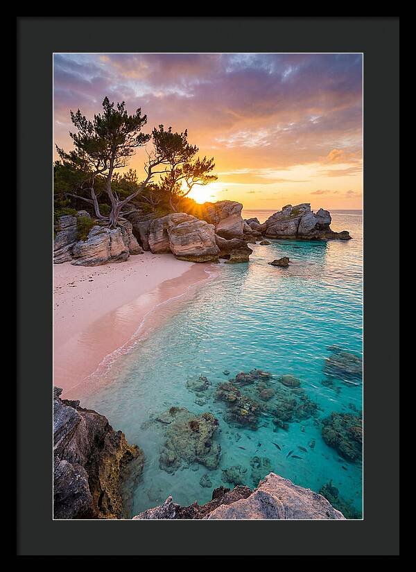 Bermuda Pink Sand Beach Sunset