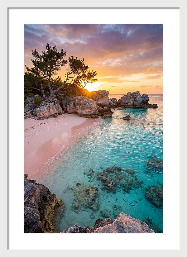 Bermuda Pink Sand Beach Sunset