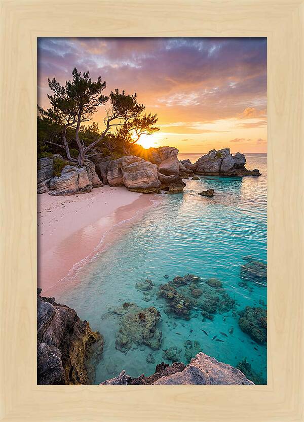 Bermuda Pink Sand Beach Sunset