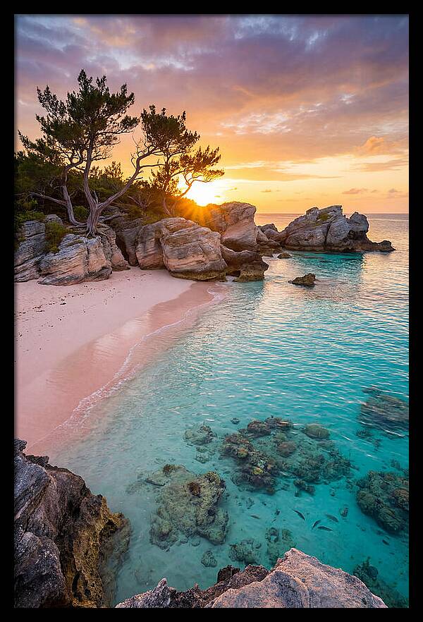 Bermuda Pink Sand Beach Sunset