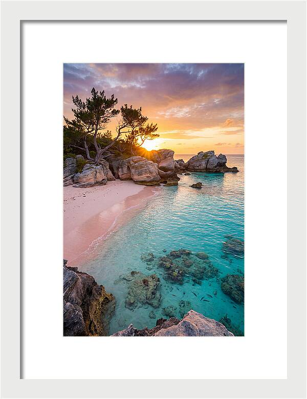 Bermuda Pink Sand Beach Sunset