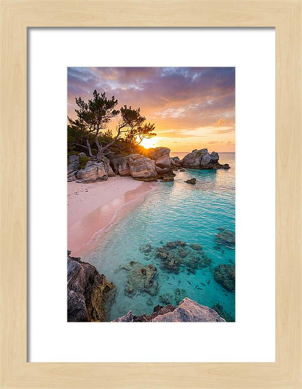 Bermuda Pink Sand Beach Sunset