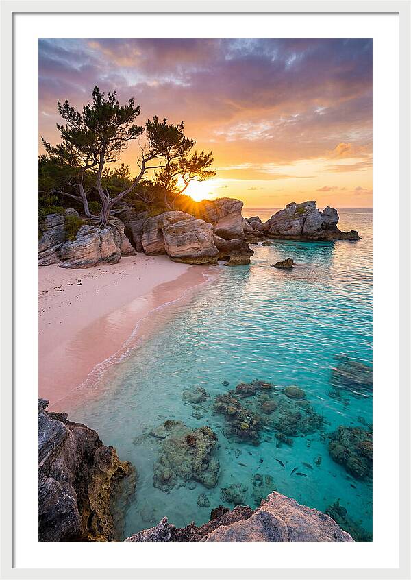 Bermuda Pink Sand Beach Sunset
