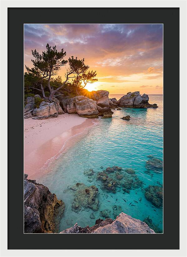 Bermuda Pink Sand Beach Sunset
