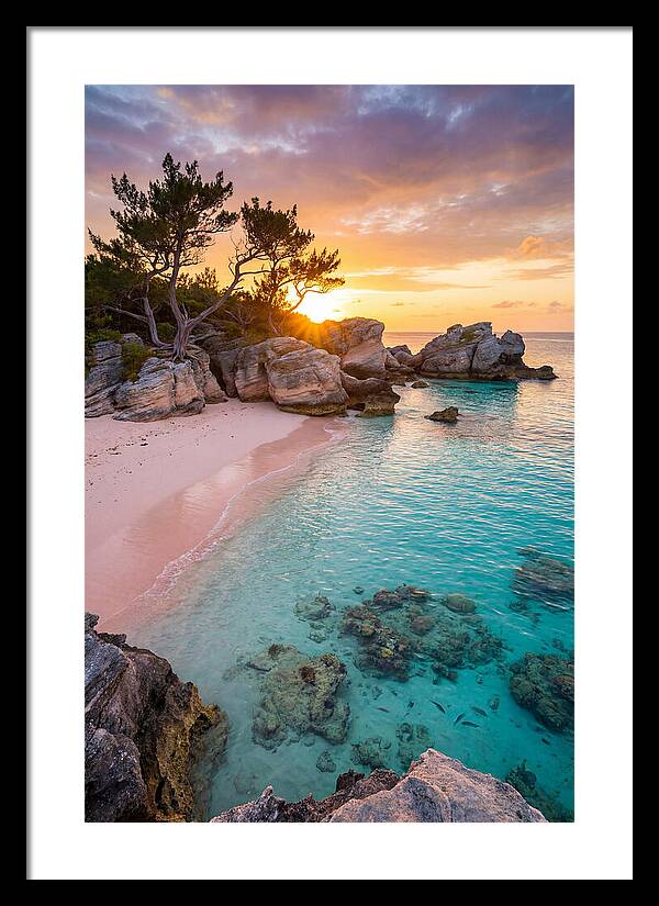 Bermuda Pink Sand Beach Sunset