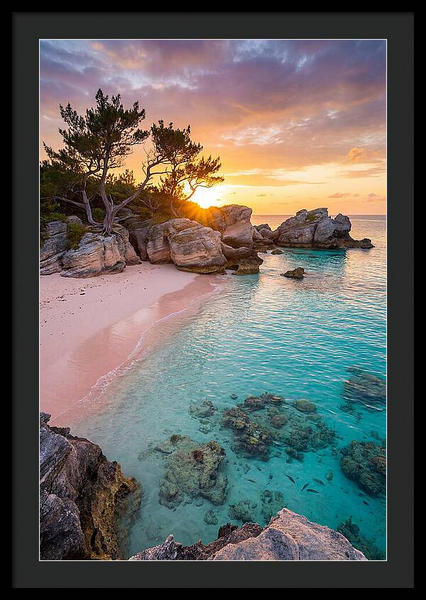 Bermuda Pink Sand Beach Sunset