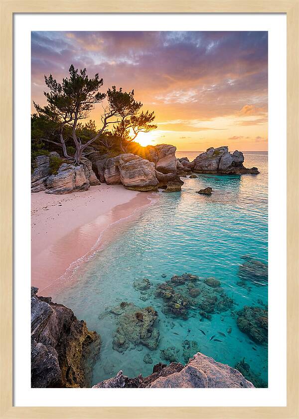 Bermuda Pink Sand Beach Sunset