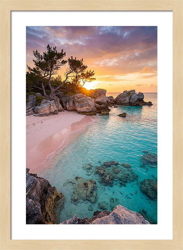 Bermuda Pink Sand Beach Sunset