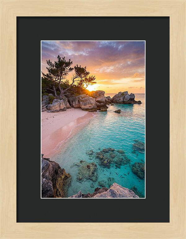 Bermuda Pink Sand Beach Sunset