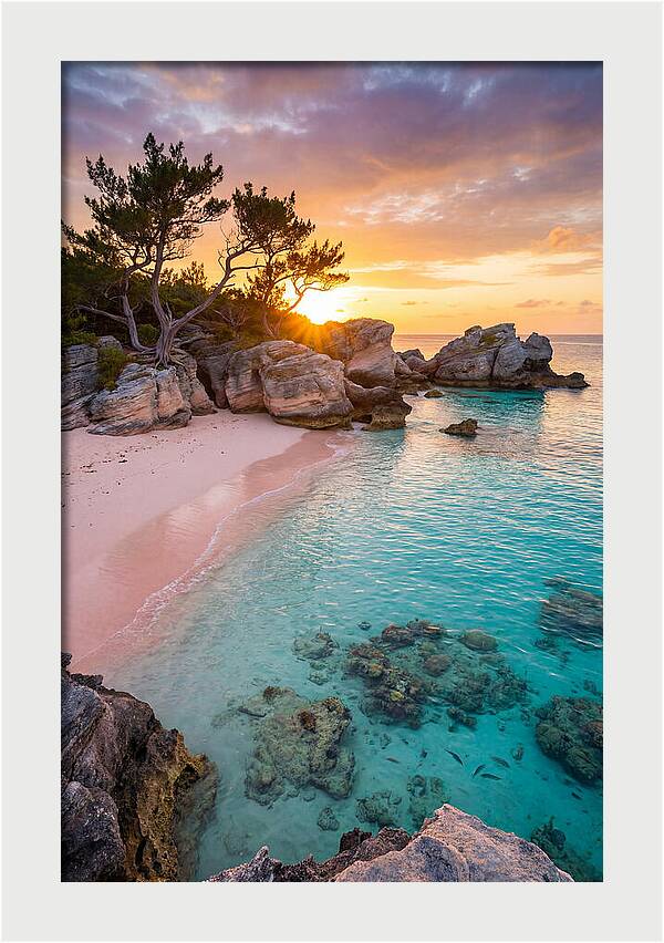Bermuda Pink Sand Beach Sunset