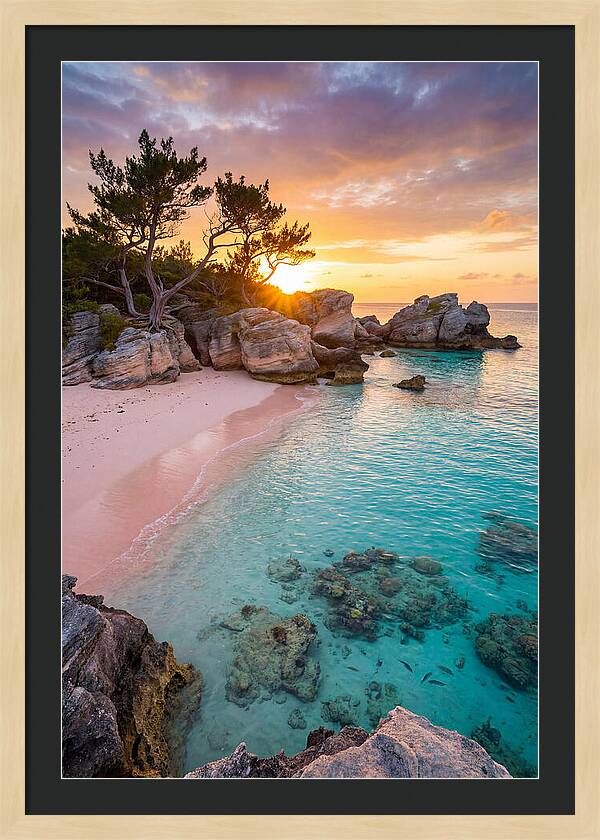 Bermuda Pink Sand Beach Sunset