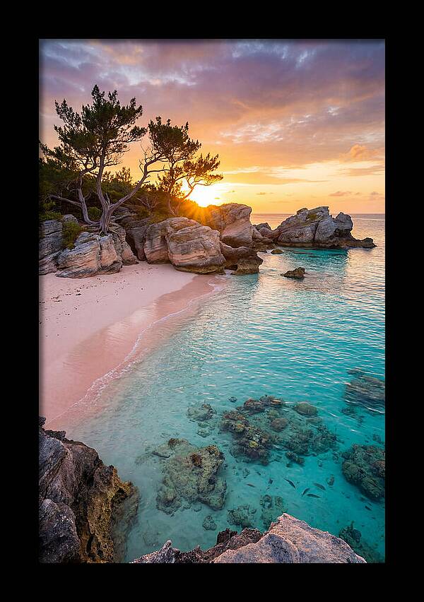 Bermuda Pink Sand Beach Sunset