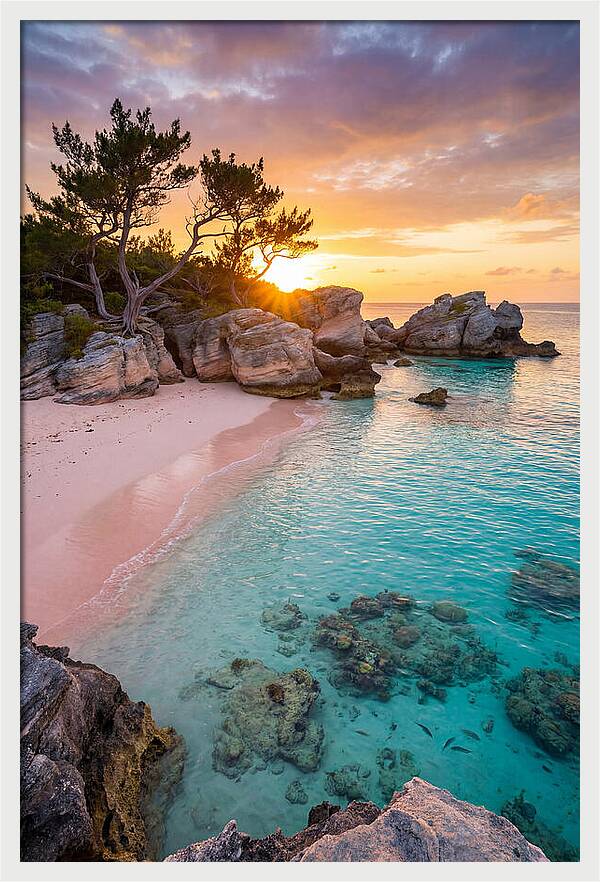 Bermuda Pink Sand Beach Sunset