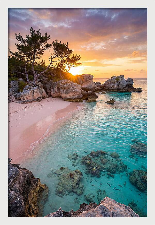 Bermuda Pink Sand Beach Sunset