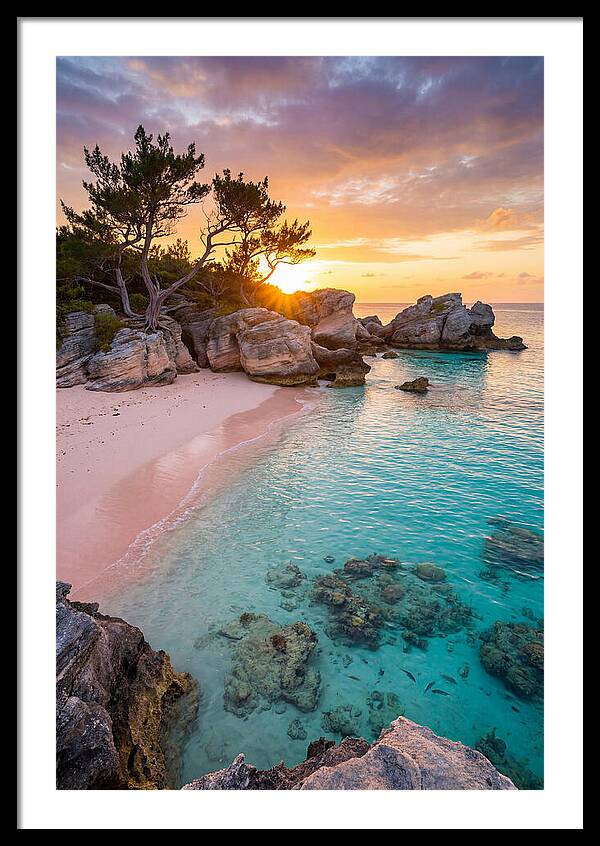 Bermuda Pink Sand Beach Sunset
