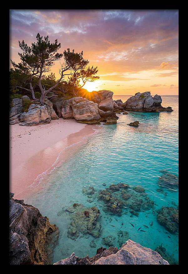 Bermuda Pink Sand Beach Sunset