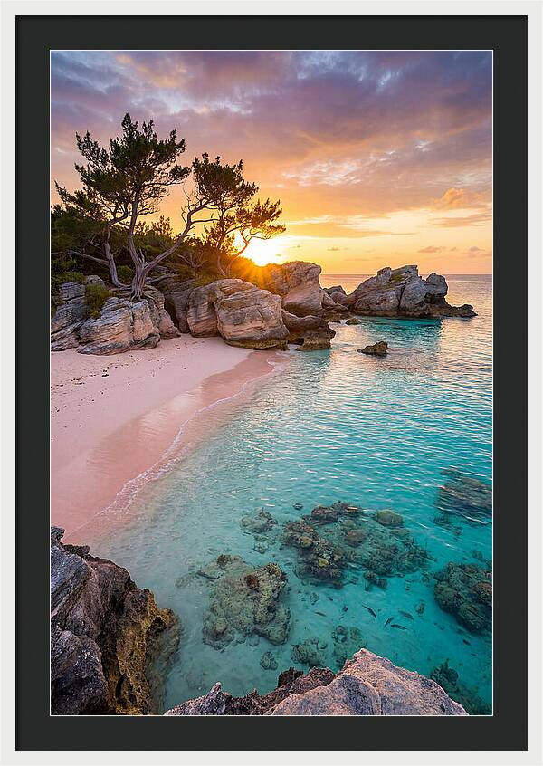 Bermuda Pink Sand Beach Sunset