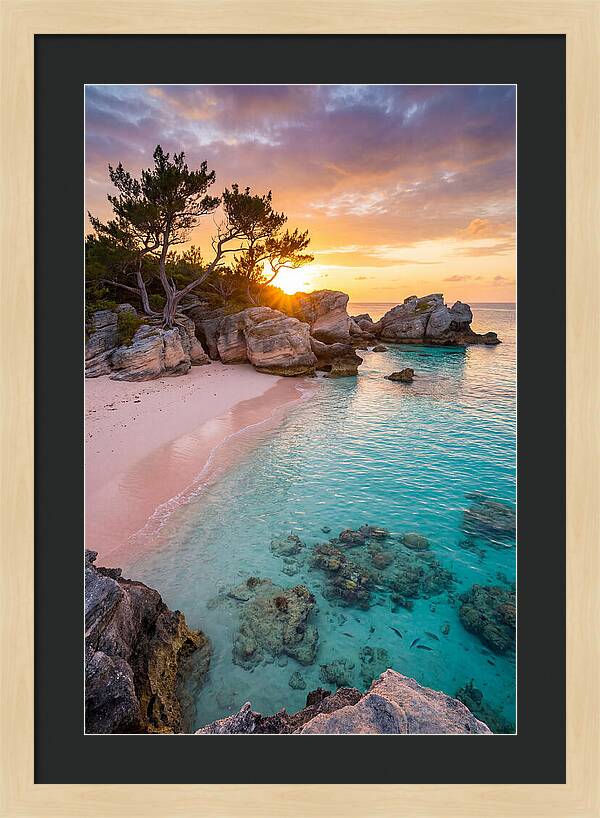 Bermuda Pink Sand Beach Sunset