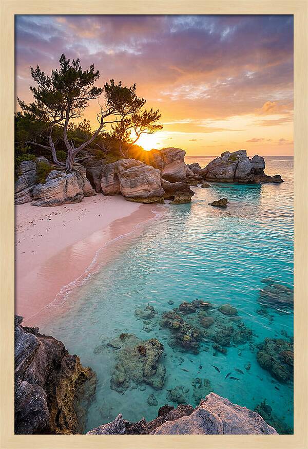 Bermuda Pink Sand Beach Sunset