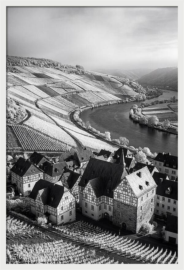 Bernkastel Kues Overlooking Mosel Valley